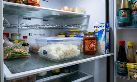 Berapa Lama Nasi Bisa Di Simpan Di Kulkas Tanpa Rusak?